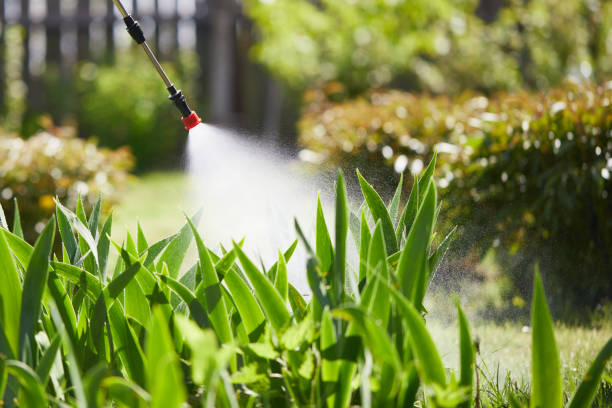 24/7 Emergency Cockroach Control experts in Plant City, FL