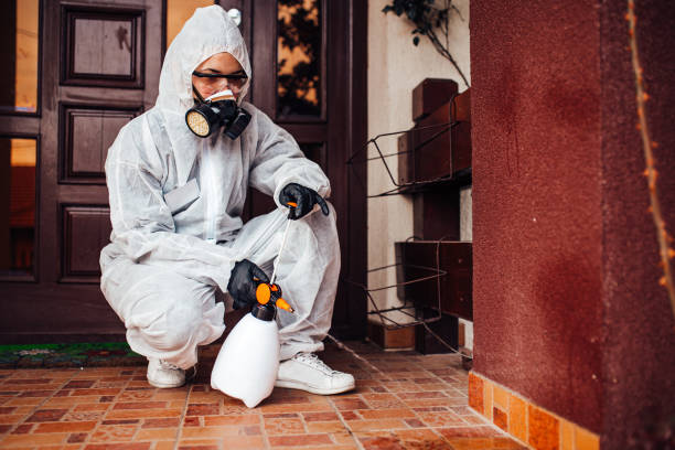 Reliable Cockroach Control contractor in Plant City, FL by Nex Pest Control